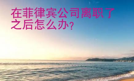 在菲律宾公司离职了之后怎么办?